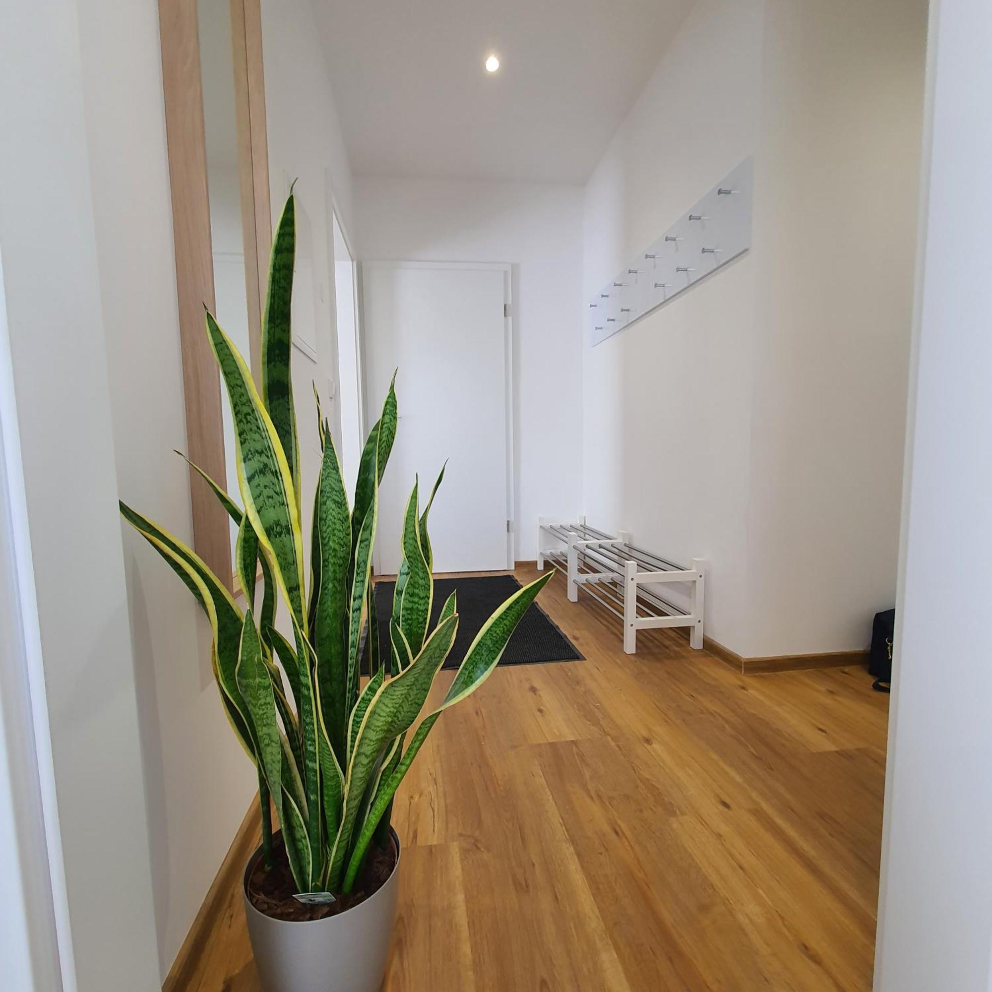 Laineckerstrasse 8 In 95445 Bayreuth 아파트 외부 사진